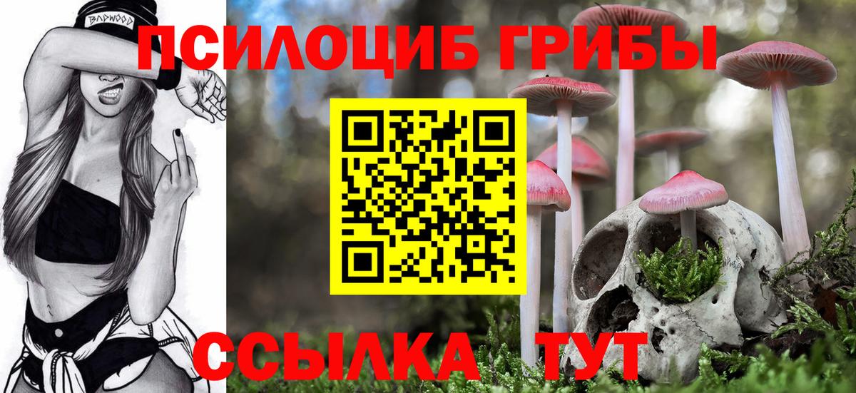 Красногорск  Галлюциногенные грибы мухоморы  Вход с VPN 