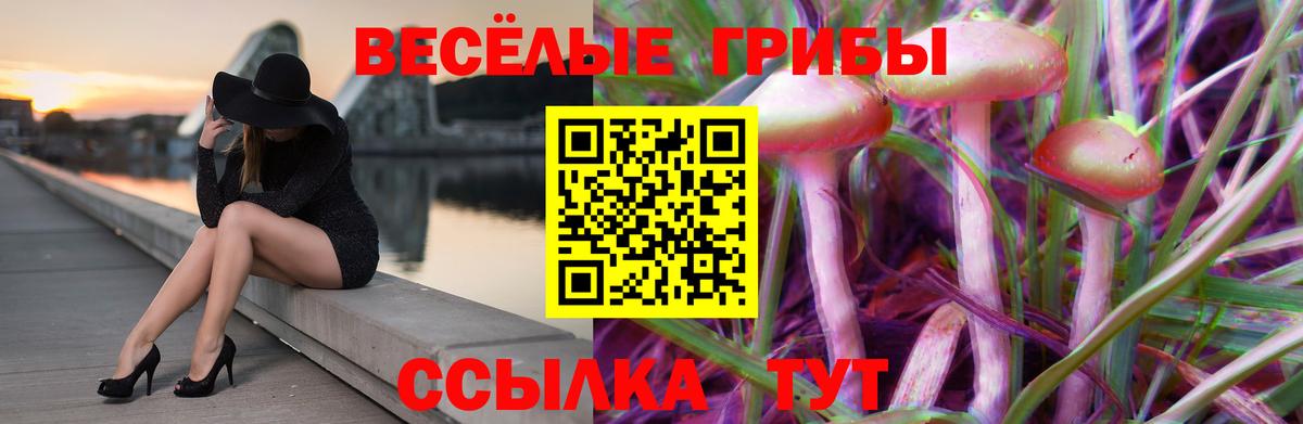 Галлюциногенные грибы Psilocybe Красногорск